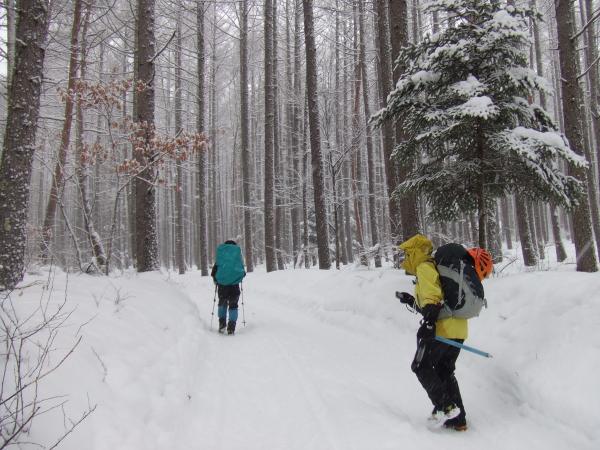 赤岳鉱泉まで。